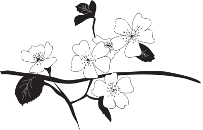 multiflora