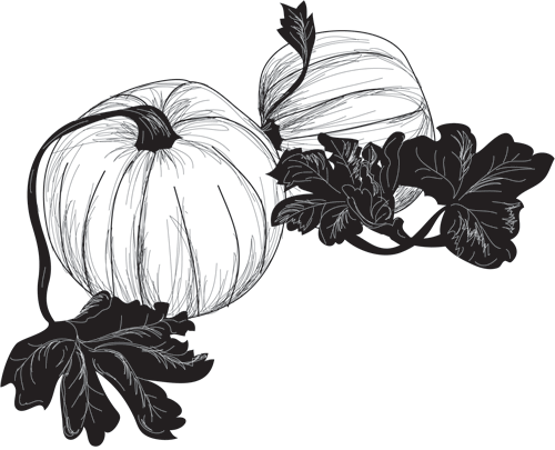 pumpkins