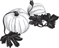 pumpkins
